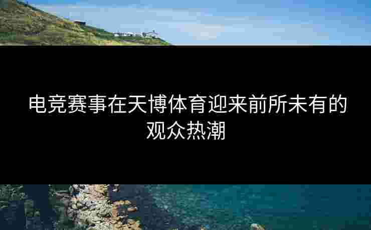 电竞赛事在天博体育迎来前所未有的观众热潮