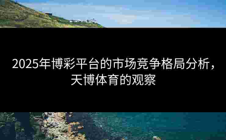 2025年博彩平台的市场竞争格局分析，天博体育的观察