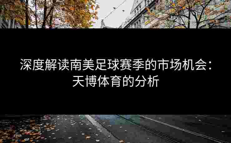 深度解读南美足球赛季的市场机会：天博体育的分析